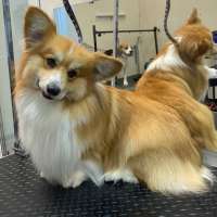 Фото работ Анна