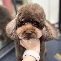 Фото работ Юлия