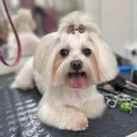 Фото работ Полина