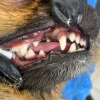 Фото работ Анна К.