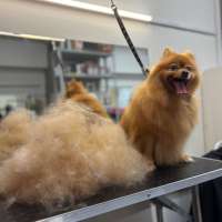 Фото работ Анна Р