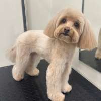 Фото работ Полина