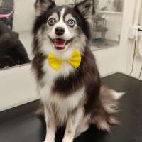 Фото работ Елена И.