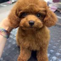 Фото работ Анастасия Н