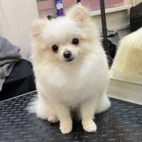 Фото работ Анна