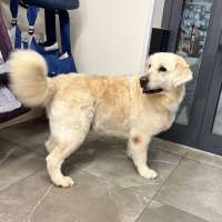 Фото работ Елизавета