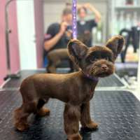 Фото работ Анна Р