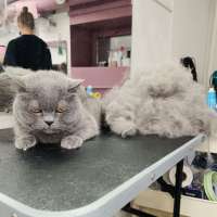 Фото работ Елена И.