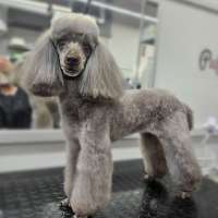 Фото работ Светлана