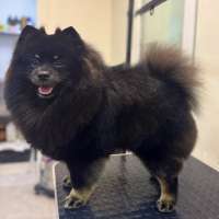 Фото работ Анастасия Н