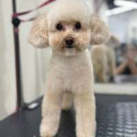 Фото работ Полина