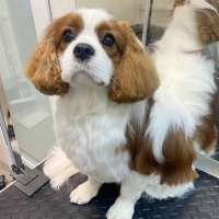 Фото работ Анна