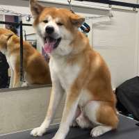 Фото работ Милана