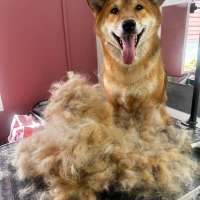 Фото работ Светлана М.