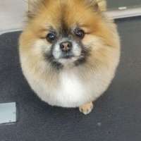 Фото работ Александра