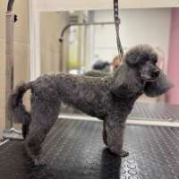 Фото работ Анна Р