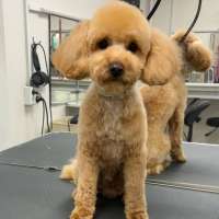 Фото работ Ирина С.