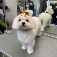 Фото работ Анна К.