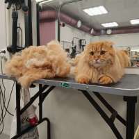 Фото работ Елена И.