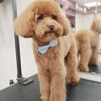 Фото работ Елена И.