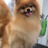 Фото работ Елизавета