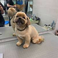 Фото работ Анна К.