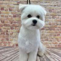 Фото работ Наталья