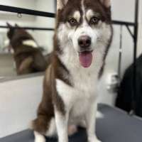 Фото работ Белла