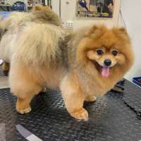 Фото работ Анна