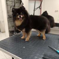 Фото работ Елена И.