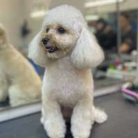 Фото работ Александра