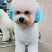 Фото работ Анна К.