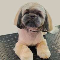 Фото работ Елена