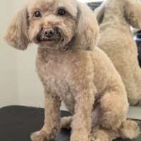 Фото работ Ксения