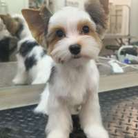 Фото работ Елена