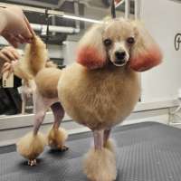 Фото работ Светлана