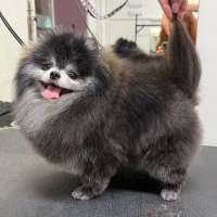 Фото работ Валерия