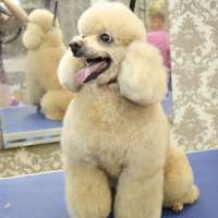 Фото работ Светлана