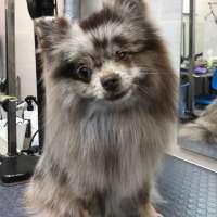 Фото работ Ольга Л