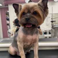 Фото работ Эльза