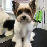 Фото работ Елизавета