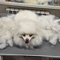 Фото работ Светлана