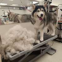 Фото работ Елена И.