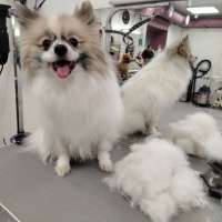 Фото работ Елена К