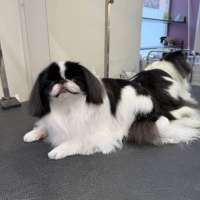 Фото работ Валерия