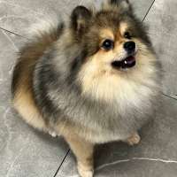 Фото работ Елизавета