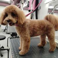 Фото работ Елена К