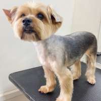 Фото работ Анна