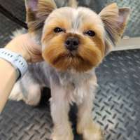 Фото работ Елена