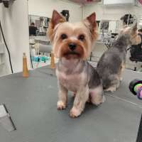 Фото работ Елена К